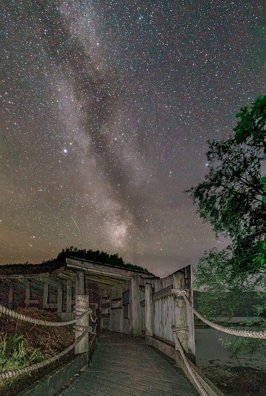 Steven Marshall Photography