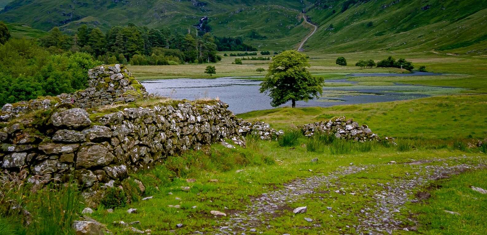 Glen Moidart | Courtesy of Steven Marshall Photography - www.smarshall-photography.com