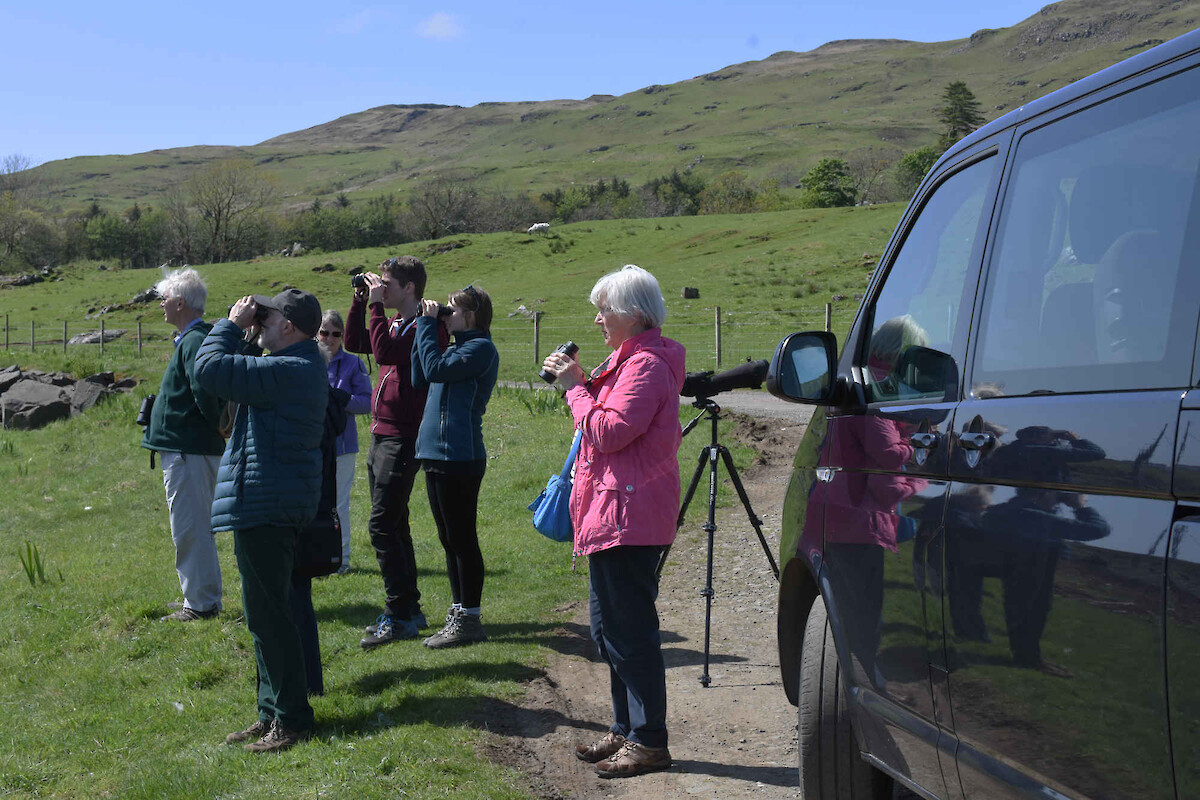 Nature Scotland Wildlife Tours