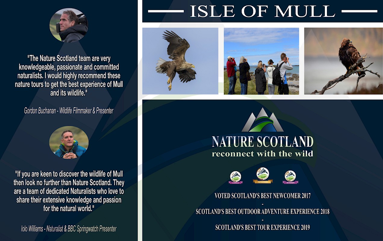 Nature Scotland Wildlife Tours
