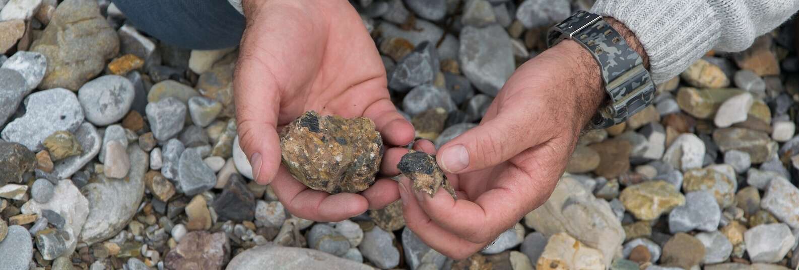 Geologist picking stones