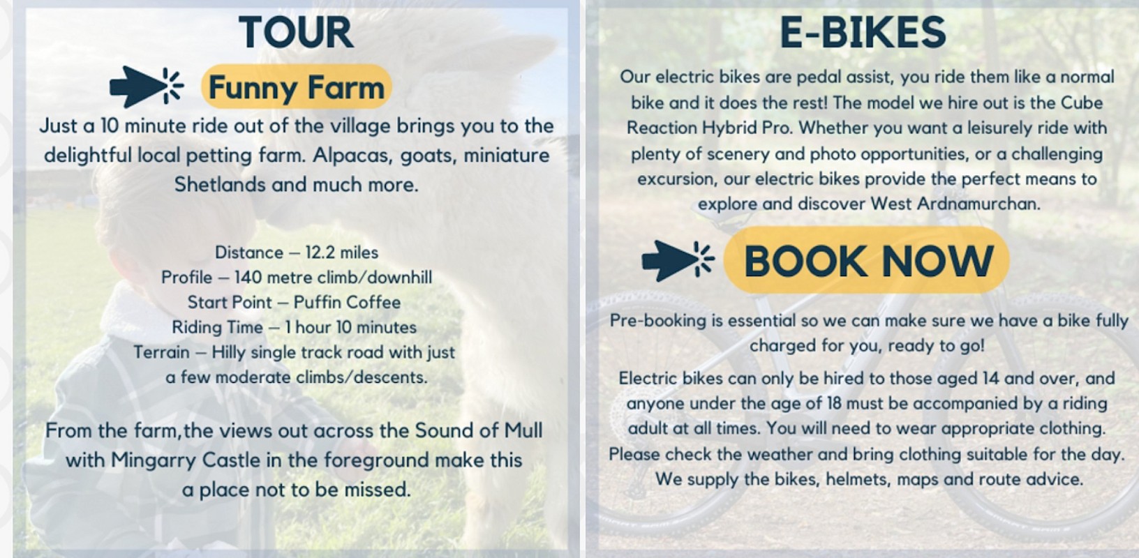 Bikes at Puffin Coffee