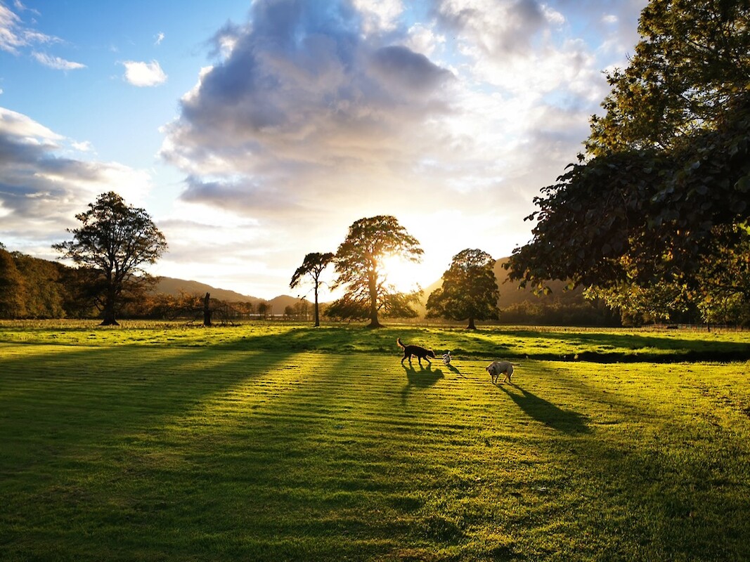 Kinlochmoidart Estate