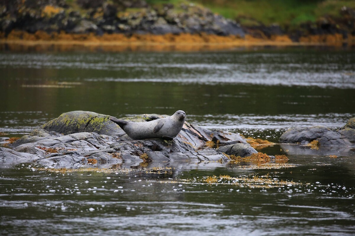 Ardnamurchan Charters